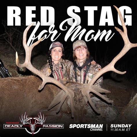 stag mommas|Stag Mommas Profiles .